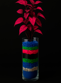 arreglos-florales-en-quito_-Terrario-pink