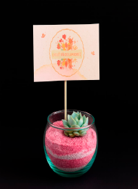 arreglos-florales-en-quito_Mini-Terrario