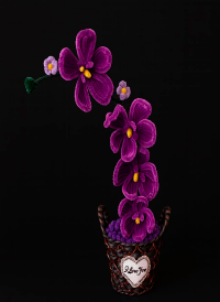 arreglos-florales-en-quito_Orquídea-Morada